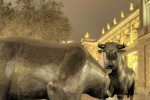 Chứng khoán phái sinh 17-21/06/2019: Triển vọng thị trường đang xấu đi