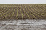 China Tariffs Blindside U.S. Farmers at Worst Possible Time