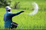 Mampukah Bitcoin Membantu Petani dalam Meraup Untung?