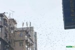 Türk Filmleri Gerçek Oldu – 24 Yaşındaki Kripto Para Milyoneri Çatıdan Para Dağıttı!