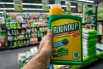 USA: premier procès sur de possibles effets cancérigènes du RoundUp