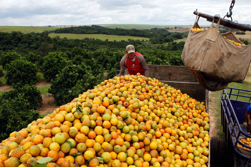 Brazil Agriculture Booms, Even As Grain Prices Wobble By International