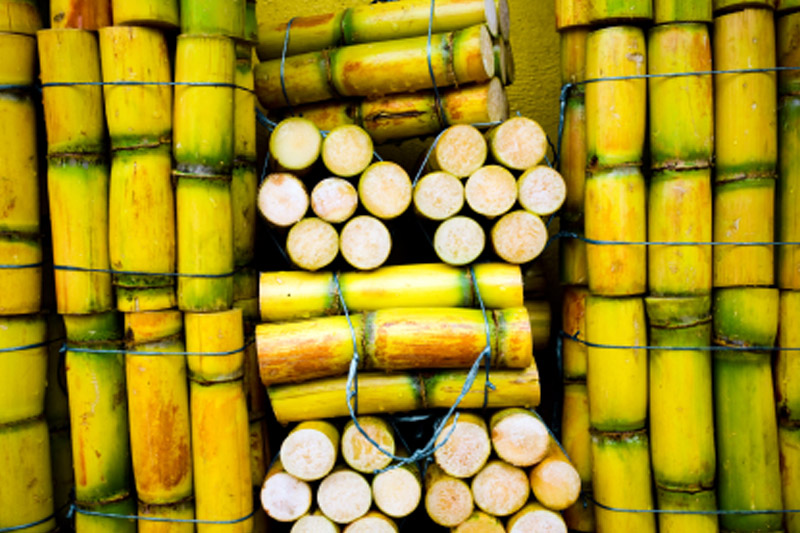 Indian Sugar Prices-Mumbai - JULY 17, 2019