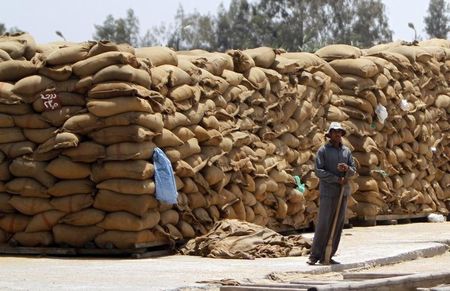 © Reuters. مصر تقدم ضمانات مالية قيمتها 67 مليون دولار لواردات غذائية