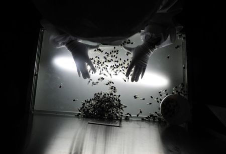 © Reuters. An employee inspects newly-made drug capsules at a factory in Jingzhou