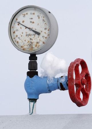 © Reuters. Датчик давления и вентиль на газовой станции в городе Боярка под Киевом