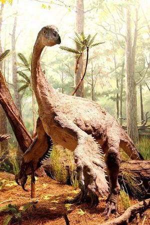 © Reuters. علماء يكتشفون حفرية ديناصور باربعة اجنحة