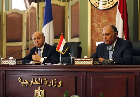 © Reuters. French Foreign Minister, Fabius, talks during a news conference with his Egyptian counterpart Shukri, in Cairo