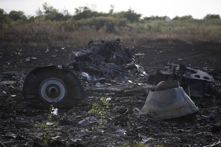 © Reuters. Wreckage is pictured at the crash site of Malaysia Airlines Flight MH17, near the settlement of Grabovo in the Donetsk region