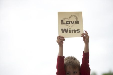 © Reuters. A boy holds up a sign during a rally by gay rights supporters on the steps of the Pennsylvania State Capital in Harrisburg