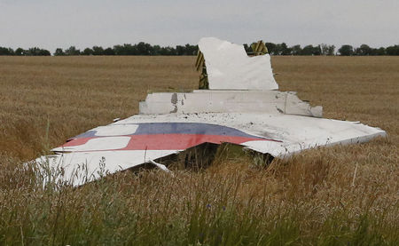 © Reuters. مصدر امني أوكراني يؤكد وجود صلة لروسيا بتحطم الطائرة الماليزية