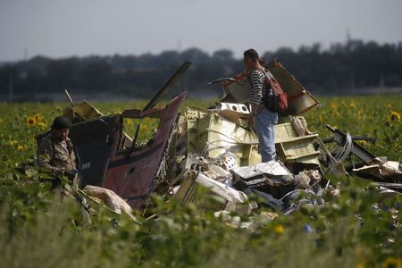 © Reuters. Investigador inspeciona local de acidente com voo MH17 da Malaysia Airlines 