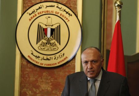 © Reuters. وزير الخارجية المصري يدعو إلى هدنة إنسانية لمدة 7 أيام في غزة