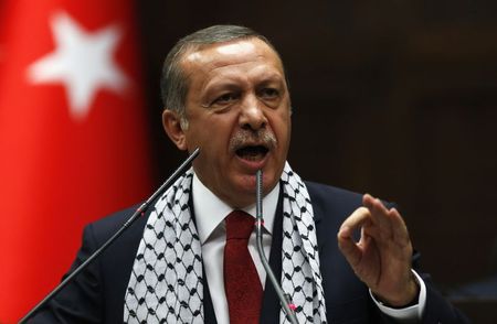 © Reuters. مصر ستستدعي القائم بالأعمال التركي بسبب تصريحات اردوغان