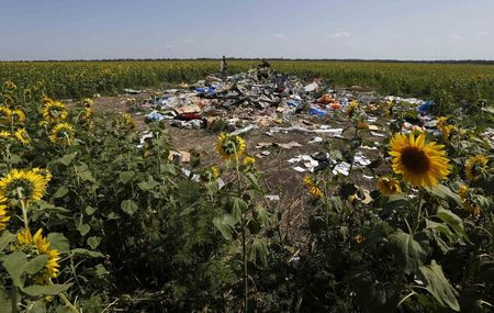 © Reuters. Destroços de avião da Malaysia Airlines perto do vilarejo de Grabovo, na Ucrânia