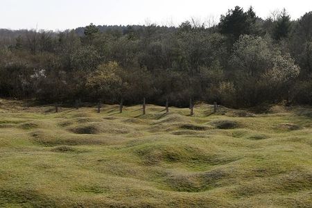 © Reuters. Crateras de bombardeiros da 1a Guerra Mundial em Fort de Vaux, perto de Verdun, na França