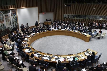 © Reuters. روسيا تطلب عقد جلسة طارئة لمجلس الامن بشأن أوكرانيا