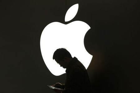 © Reuters. A man looks at his Apple iPad in front an Apple logo outside an Apple store in downtown Shanghai in this file photo