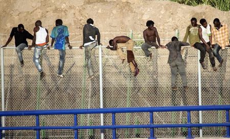 © Reuters. Imigrantes africanos escalam cerca na tentativa de entrar em território espanhol