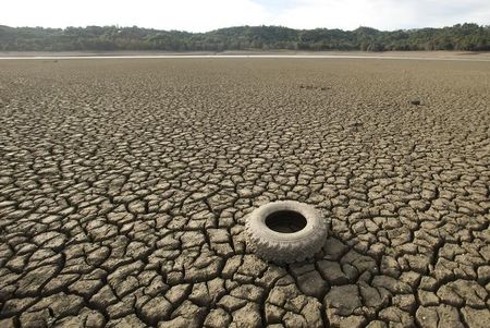 © Reuters. A tire rests on the dry bed of Lake Mendocino, a key Mendocino County reservoir, in Ukiah