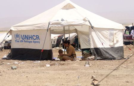 © Reuters. المفوضية العليا لشؤون اللاجئين تطلق عملية اغاثة في شمال العراق