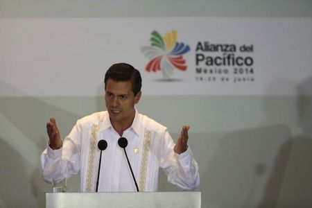 © Reuters. Mexico's President Enrique Pena Nieto speaks after the signing of agreements at the second day of the 2014 Alianza del Pacifico (Pacific Alliance) political summit in Punta Mita