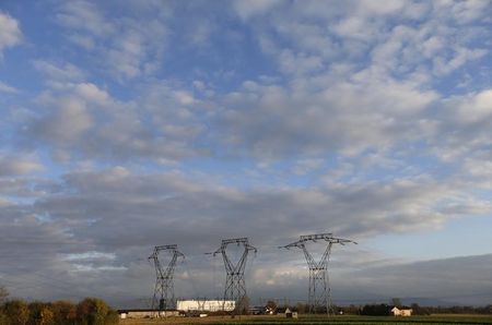 © Reuters. DEUX MOIS AVEC SURSIS POUR DES MILITANTS DE GREENPEACE QUI S’ÉTAIENT INTRODUITS À FESSENHEIM