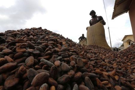 © Reuters. Men pour out cocoa beans to dry in Niable