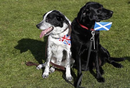 © Reuters. La UE reitera: una Escocia independiente debería solicitar su adhesión