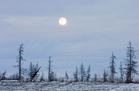© Reuters. File photo of a full moon seen in Tundra near the river of Khanemi