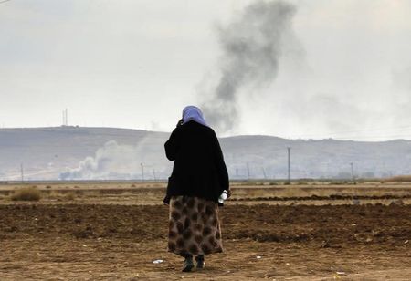 © Reuters. امريكا والحلفاء يشنون 13 غارة جوية ضد الدولة الاسلامية في العراق وسوريا