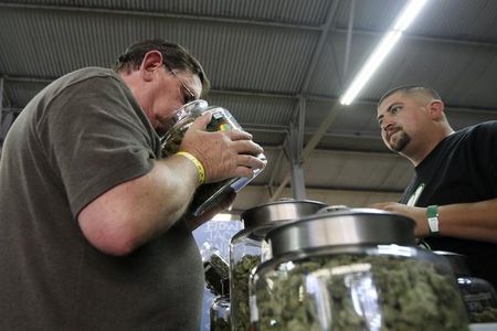 © Reuters. A medical marijuana user smells a jar of marijuana at the medical marijuana farmers market in Los Angeles