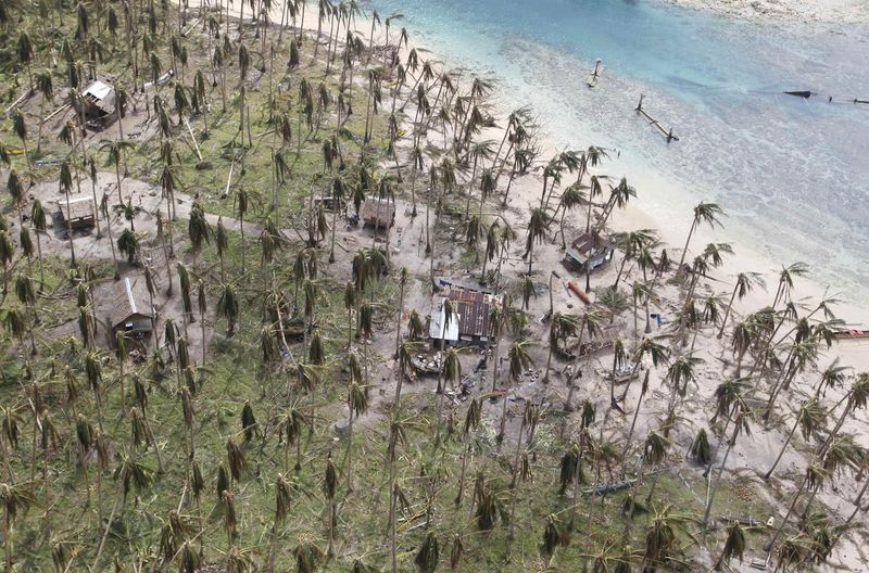 © Reuters. An aerial view of damaged coconut trees at a remote village in Dolores