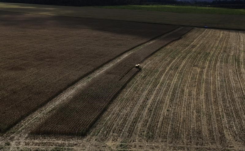 © Reuters. Trator trabalhando em plantação de trigo