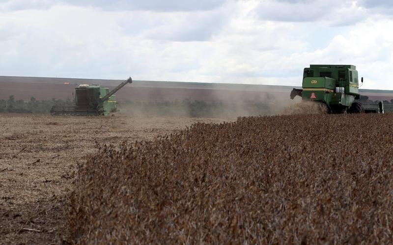 © Reuters. Trabalhadores colhem soja em fazenda em Primavera do Leste, Mato Grosso