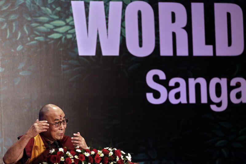 © Reuters. Exiled Tibetan spiritual leader, the Dalai Lama, speaks during the World Hindu Congress 2014 conference in New Delhi
