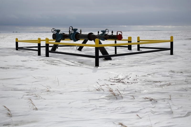 © Reuters. A pipeline network is seen in a field outside of Williston