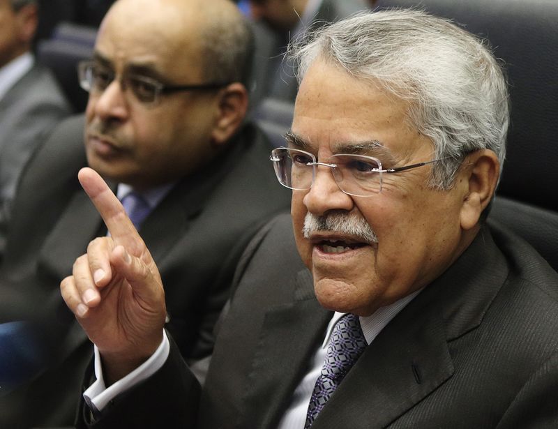 © Reuters. O ministro do Petróleo da Arábia Saudita, Ali al-Naimi, fala com jornalistas na sede da Opep