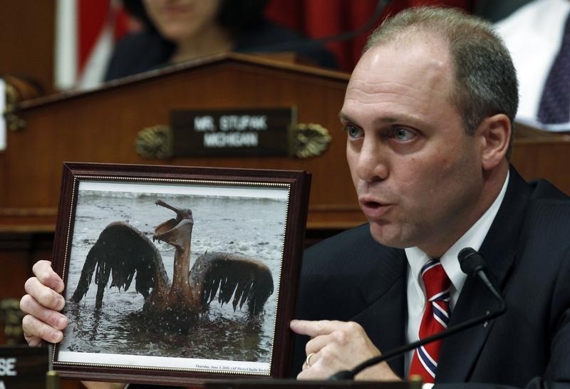 © Reuters. U.S.  Congressman Scalise of Louisiana holds up a picture of an oil-covered pelican as he questions BP CEO Hayward at a House Energy and Commerce Committee hearing in Washington