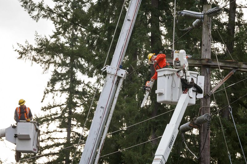 © Reuters. A worker starts a chainsaw while attempting to repair power lines near Redmond