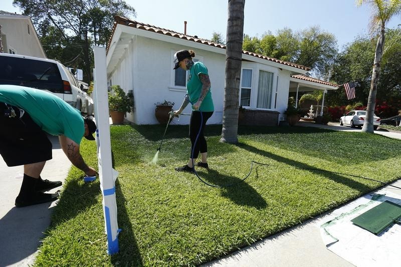 © Reuters. Drew McClellan of A lucky Lawn and his wife Deb paint green dye onto drought affected grass at a home in Santa Fe Springs, California