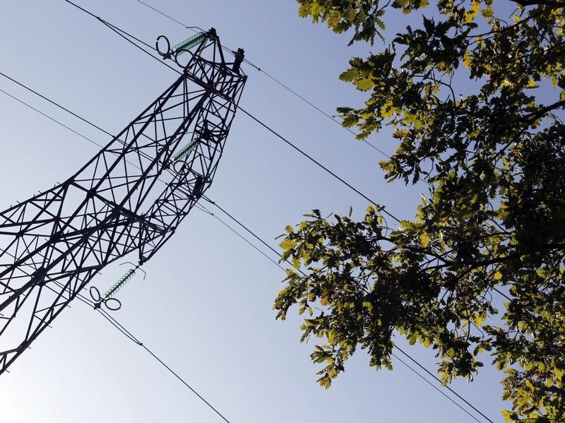 © Reuters. LE CONSEIL DÉTAT REJETTE UN RECOURS CONTRE LES TARIFS DE LÉLECTRICITÉ