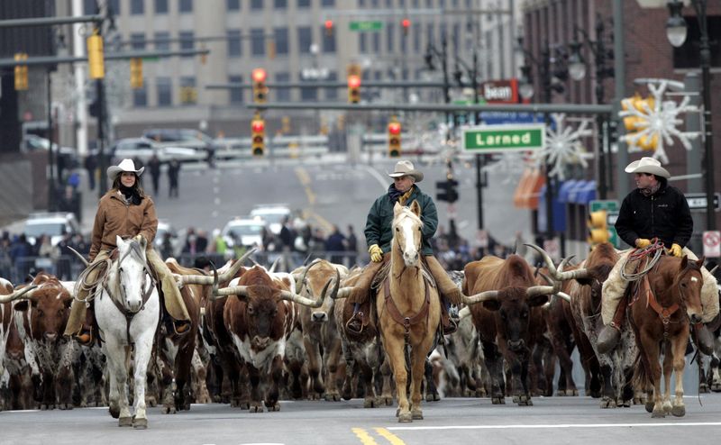 © Reuters. File image of horse-riding cowboys lead 120 longhorn cattle in Detroit to introduce the 2009 Dodge Ram pickup truck