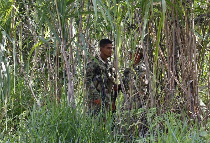 © Reuters. Guerrilla de las FARC dice que está lista para discutir cese bilateral con Gobierno