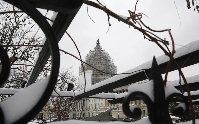 © Reuters. The U.S. Capitol building is seen through a snow covered trellis at the start of the 114th Congress on the Capitol grounds in Washington