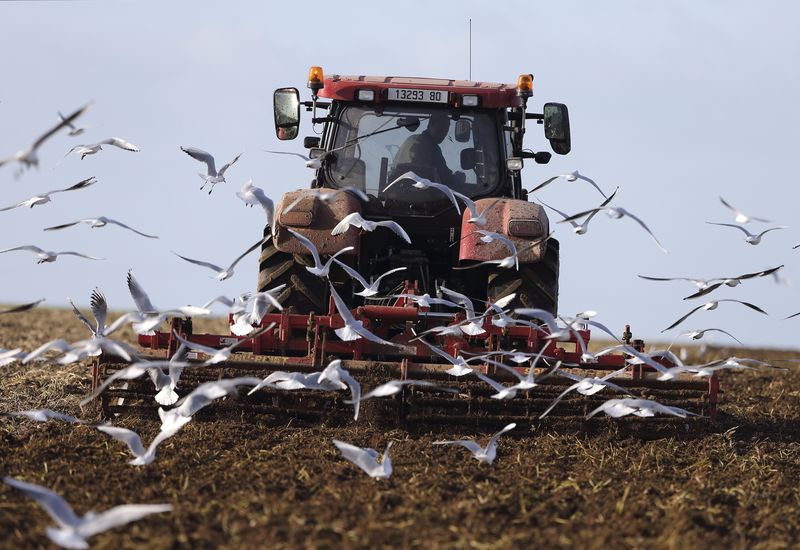 © Reuters. Francia tendrá que devolver a la UE 1.000 millones de ayudas agrícolas 