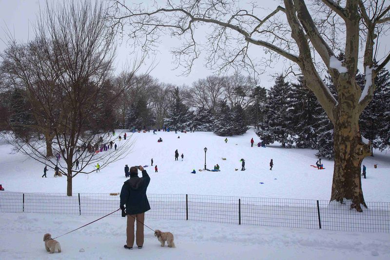 © Reuters. Homem tira foto do Central Park em Nova York