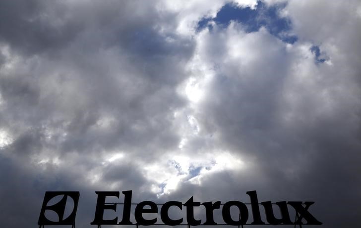 © Reuters. Логотип Electrolux на крыше фабрики в Порчиа