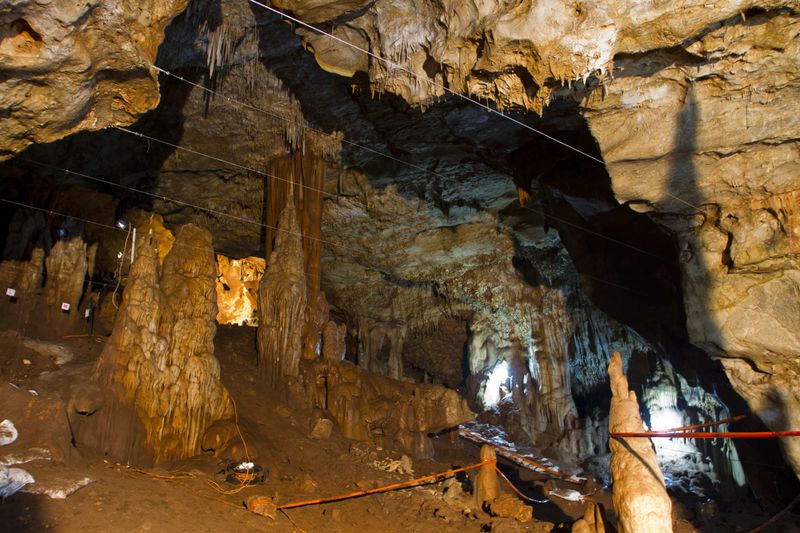 © Reuters. Un cráneo prehistórico, pieza clave "del rompecabezas" en la historia de la humanidad