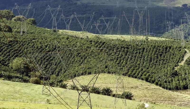 © Reuters. Torres de transmissão de energia numa fazenda de café em Santo Antônio do Jardim